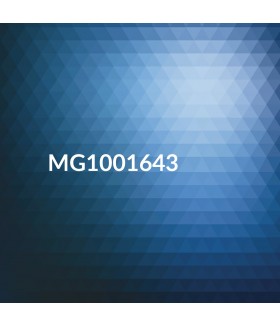 Magnets DL 210x99mm Full Colour