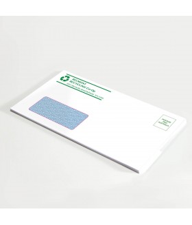DLX Envelopes 1 Colour Print